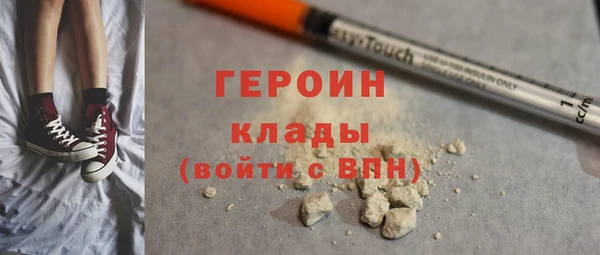 гашик Алексин