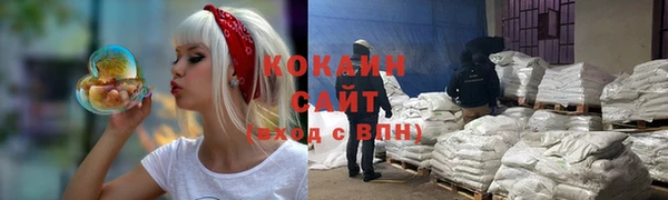 твердый Алзамай