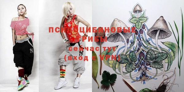 твердый Алзамай