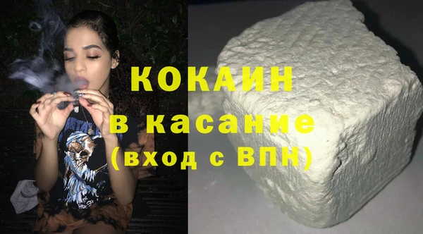гашик Алексин