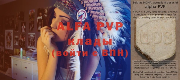 гашик Алексин