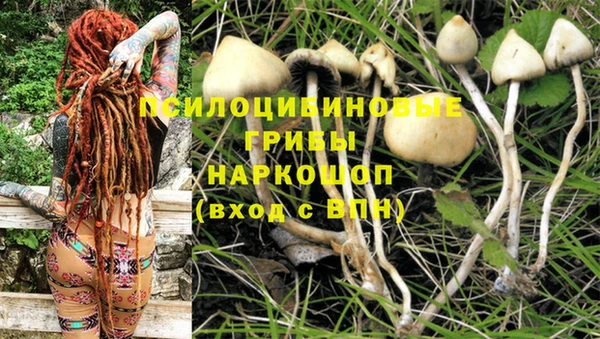 твердый Алзамай